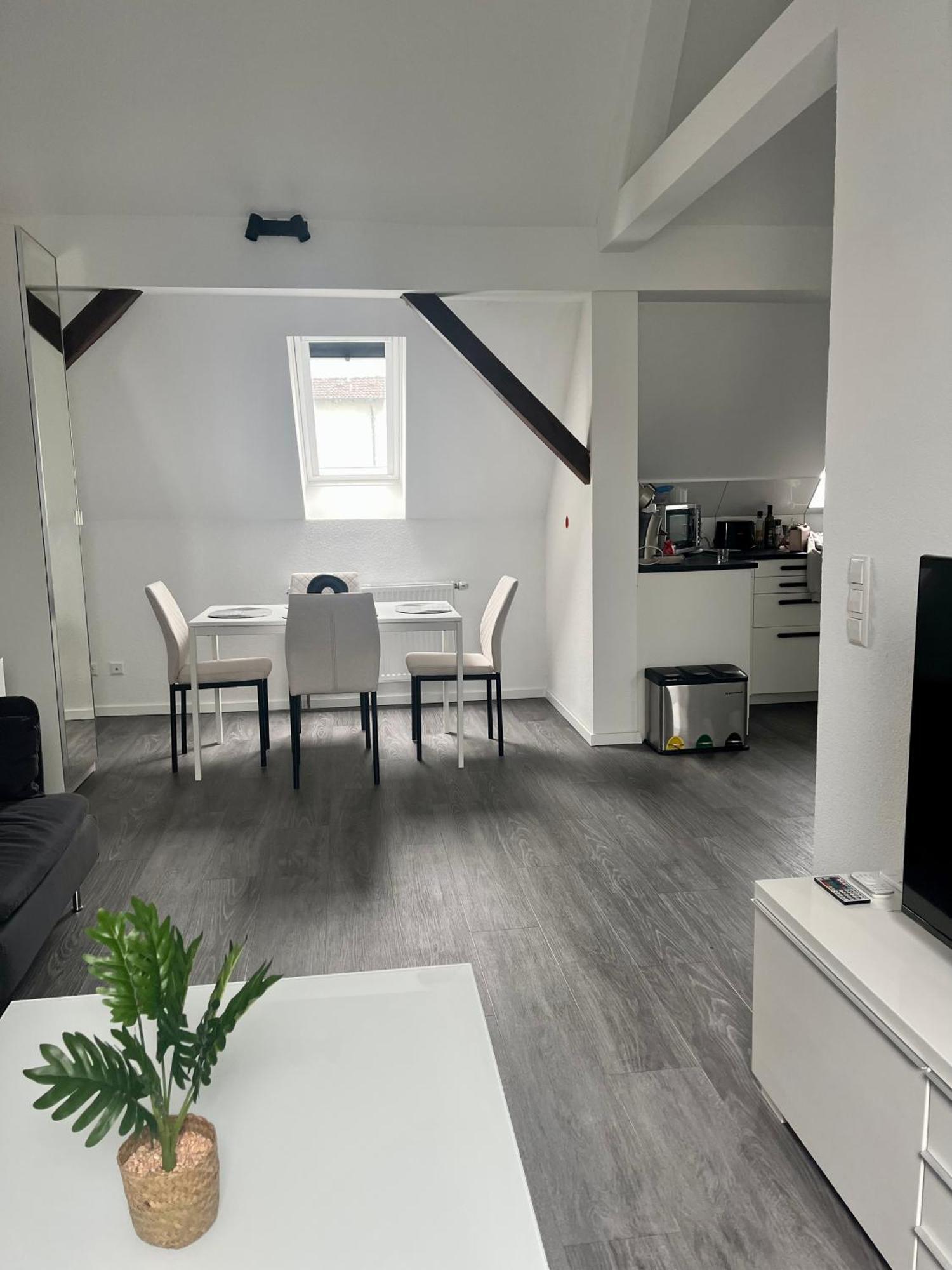 Rk-Lounge,2- Zimmer Wohnung - Modern Und Stylisch Baden-Baden Extérieur photo